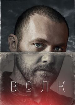 Волк (2020)