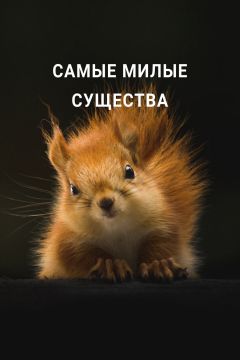 Фильм Самые милые существа (2021)